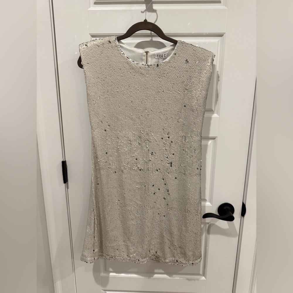 TCEC Silver Sequin Mini Dress